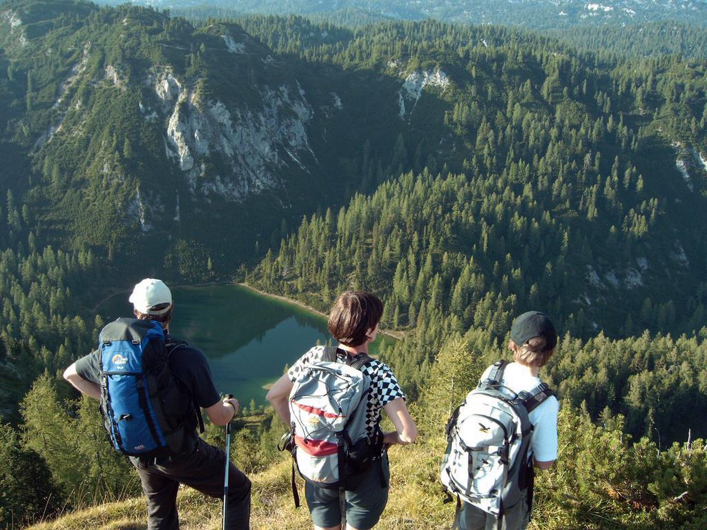 Haus Berghild Lejlighed Ramsau am Dachstein Eksteriør billede