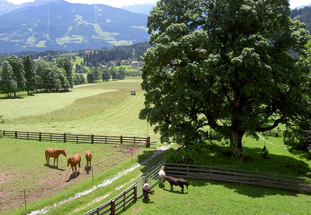 Haus Berghild Lejlighed Ramsau am Dachstein Eksteriør billede